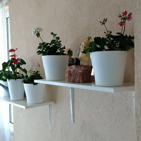 Apartament Heart Of